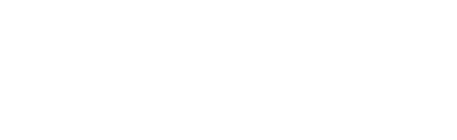 fvv_friedrichskoog_logo_final