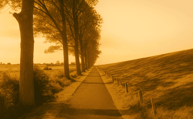 Kein Titel (800 x 950 px) (800 x 1100 px) (800 x 400 px) (3) (1)